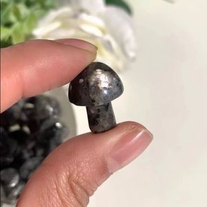 Larvakite crystal mini mushroom